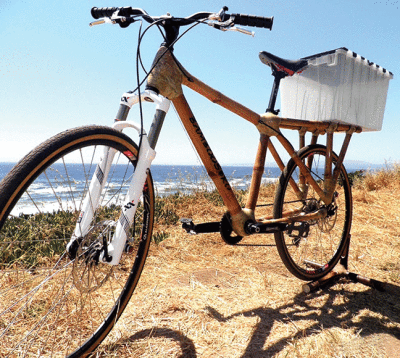 gaz_bamboobike