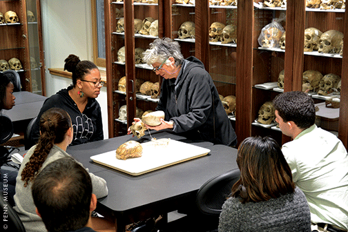 Dr. Janet Monge, Curator-in-Charge and Keeper of the Museum’s Physical Anthropology Section, shows a specimen from the Morton Collection of Crania in the Center for the Analysis of Archaeological Materials classroom.