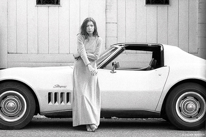 wasser_Joan-Didion-Stingray