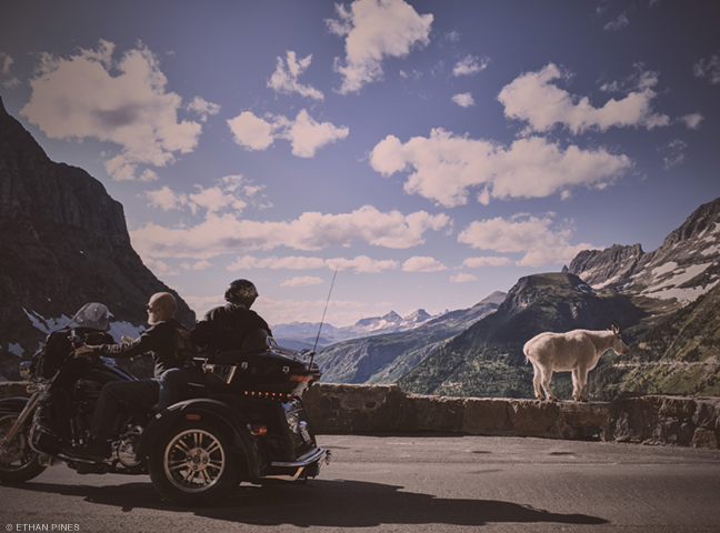 Photo of motorcyclist and goat on the highway by Ethan Pines