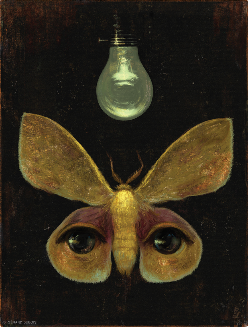 Illustration of a moth with human features and dimmed lightbulb