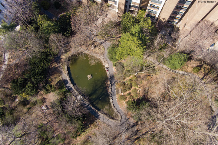 Photo of the Biopond from above