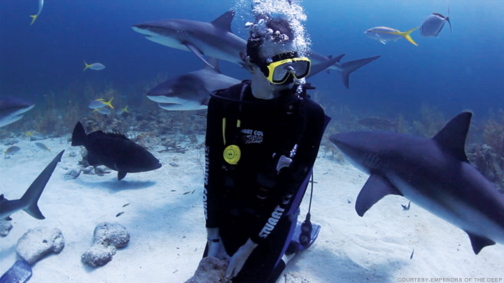 William “Bill” McKeever underwater with sharks